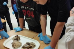 415459333_2112999402370399_2348950095212660612_n