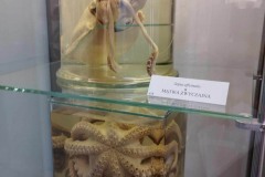 415492355_2354786334910407_4161328958655173334_n