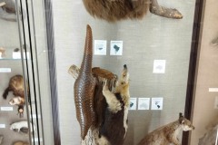 415498814_392485610107290_2842739299442216266_n