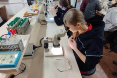 415514560_276350811834677_8792618577951642398_n