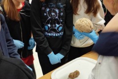 415518633_693658019279662_2891641100181961155_n