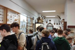 415520264_217814601411554_8332296345595897865_n