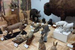 415520268_367550276127829_3642651310279985171_n