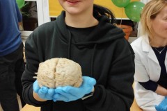 419910772_707719621504650_4155474055435887271_n