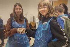 325229003_866291251356284_2548163427766938575_n