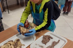 IMG_20230113_163931397_HDR