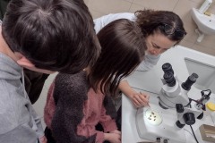 IMG_20230113_180803480_HDR