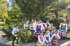 IMG20261001103924