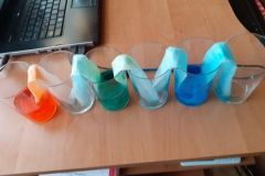 128358411_380756003235552_1065346160985739194_n