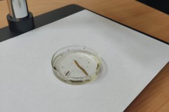 338035007_250474477343632_4489988172590040490_n