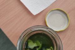 338053549_611216687264485_4726250212217531754_n-1