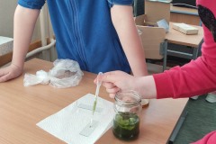 338061014_682732483856586_1310602825845709856_n-1