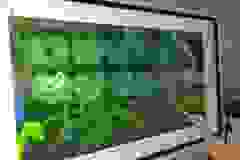 6bc12549-3174-4ae7-8a8b-870aaea3157c