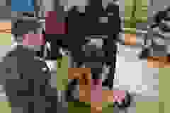 04d84db9-a963-41b2-932e-d9a250c07370