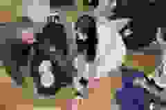 ec073b49-c54f-4154-af46-c1f3d6c3ee23