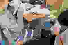 2ffb879c-b84c-447c-abcd-ef8b44967b0b