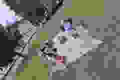 3393b3fd-2bde-474b-ba2d-ca870dae56f0