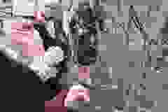 7856d61e-5bde-4f92-97ca-5d08a273e792