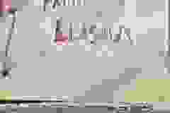 135b6cac-dc8a-472e-8438-8f8253cdde6d