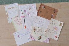 2395b0f0-17d2-4167-94ea-233a95d90115