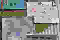 51d48813-9a53-4716-9a00-9bca8ae65304