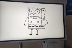 PXL_20250113_130146974