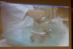 SAMSUNG CAMERA PICTURES