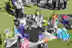 1000004439