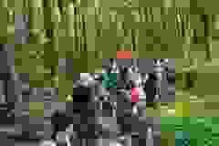 45f95132-a381-4fa0-acd0-f799f3769ada