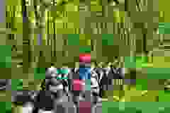7989556b-f5f0-4194-8711-ec219895c618