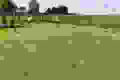 e9b5bf65-9db3-4c42-98f5-540c24b93ef9