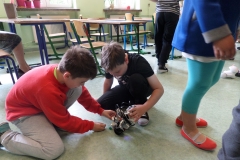 SAMSUNG CAMERA PICTURES