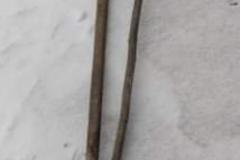 MicrosoftTeams-image-32