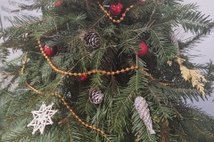 IMG_20251211_115822856