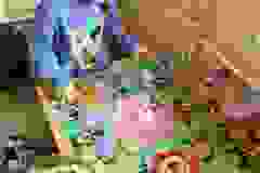 5a41381c-4306-4a12-8a1a-b694bc536db8