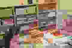 7f5d0f55-7365-42f7-964d-71374ed76dfe