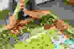 af5471a0-d00d-47dd-be9b-7bd9c3f7cdaf