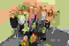 bb9c447c-b43e-498c-9e1a-9f8c0ebc8e3f