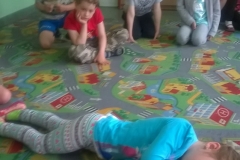 WP_20170524_006-crop