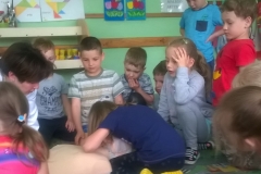 WP_20170524_042-crop