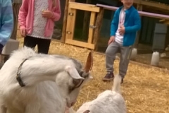 WP_20170531_017-crop