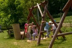 WP_20170531_060-crop