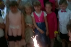 WP_20170601_044-crop