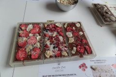 SAMSUNG CAMERA PICTURES