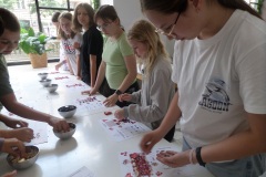 SAMSUNG CAMERA PICTURES