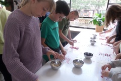 SAMSUNG CAMERA PICTURES