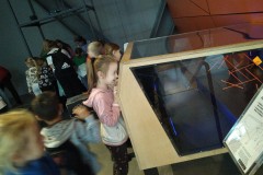 IMG_20221115_120019_BURST1