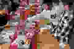 04ec6477-9419-4337-98dd-88e7b4acff52