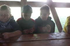 SAMSUNG CAMERA PICTURES