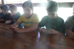 SAMSUNG CAMERA PICTURES